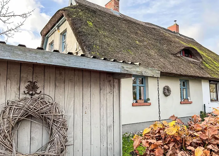 Reetgedecktes Seelchen By Interhome Holiday home Neuendorf (Usedom)